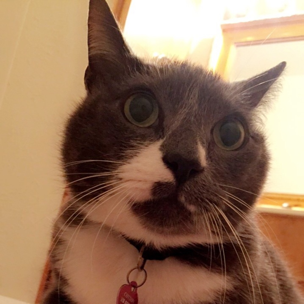 Meet your Posher, Tiffanie